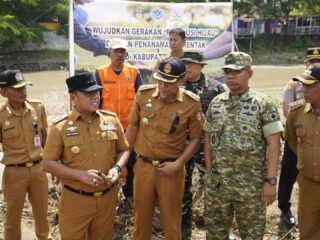 Revolusi Hijau Wajo Dimulai dari Kota, 5.000 Pohon Jadi Tameng Ekologis